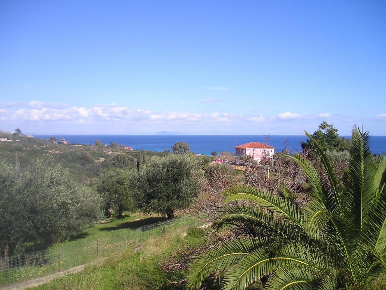 Nikolaos Studios Skala Skala  Exterior foto