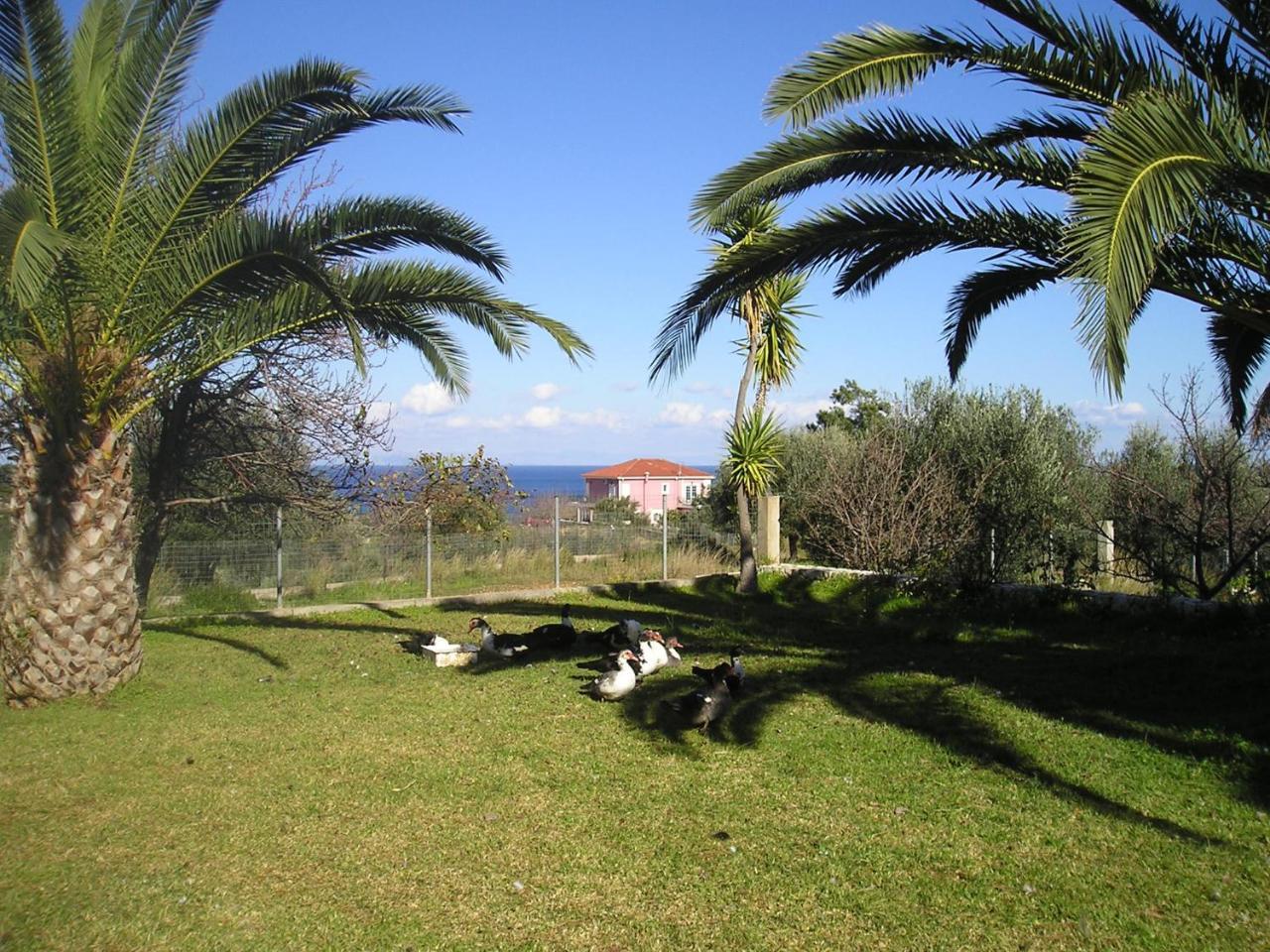 Nikolaos Studios Skala Skala  Exterior foto